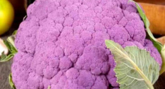 Cauliflower Purple Ball