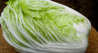 Chinese Cabbage Spring Jade