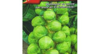Brussels sprouts Rosella