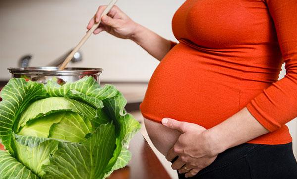 Cabbage is allowed during pregnancy