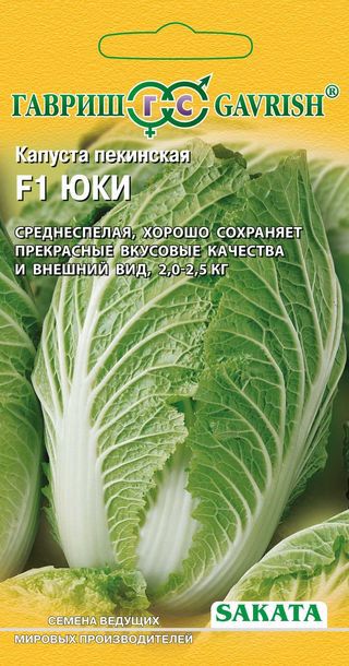 Peking cabbage Yuki F1