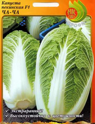 Chinese cabbage Cha-Cha F1