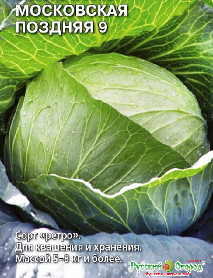 Cabbage juice is an affordable remedy for health and beauty