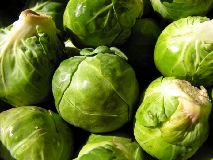 Sapphire Brussels sprouts