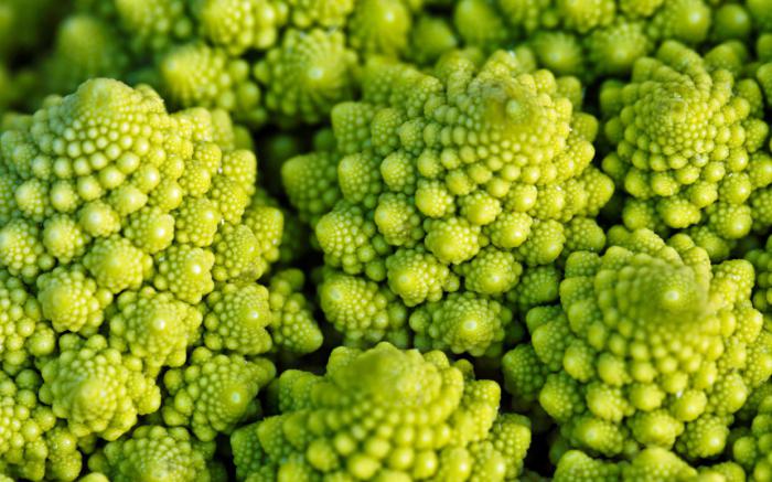Growing Romanesco is as easy as cauliflower or broccoli