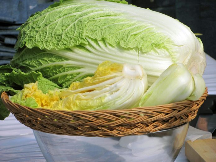 Peking cabbage harvest