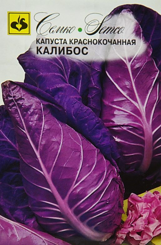Red cabbage "Kalibos"