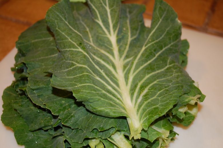 The healing properties of cabbage leaves