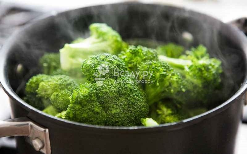 Blanching broccoli preserves the benefits of kale