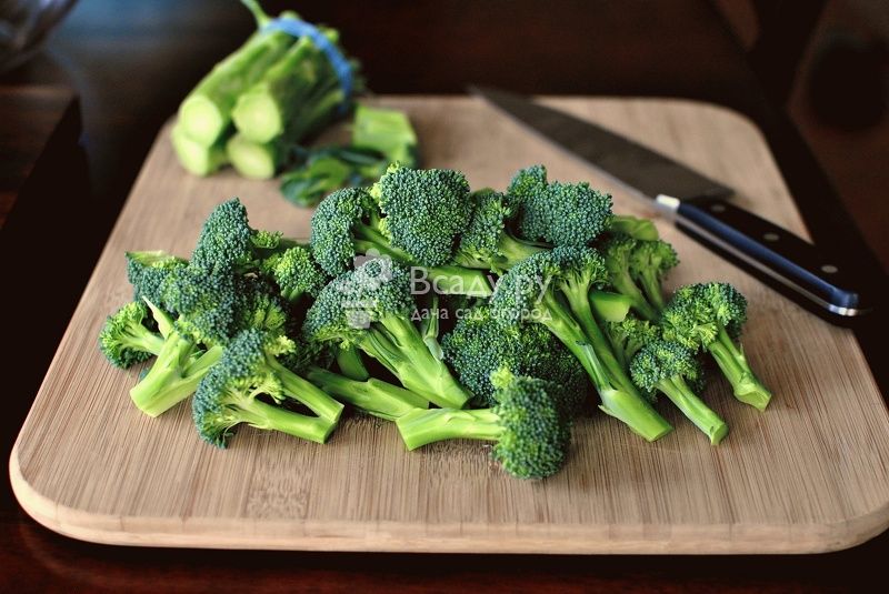 Whole and strong broccoli buds should be picked before freezing.