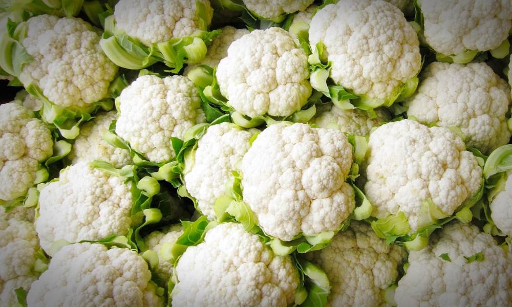 Fresh heads of cauliflower