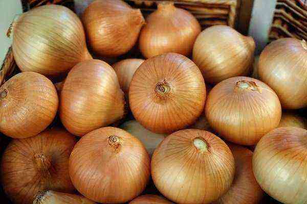 Onion-The best varieties: description, characteristics, photo
