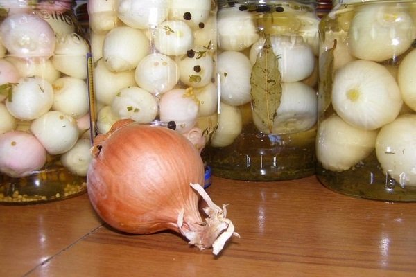 Onion conservation