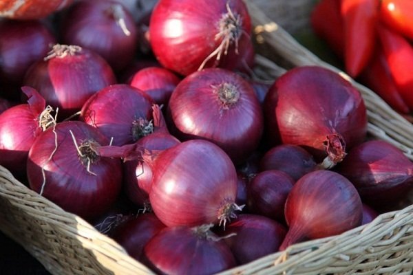 Red onion varieties Red Baron: How to grow?