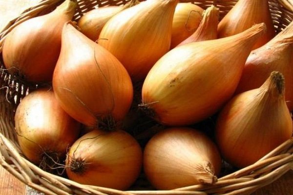 Onion varieties Centurion: How to plant and grow?
