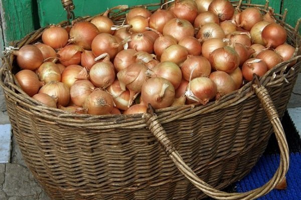 Onion storage