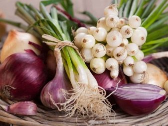 When and how to plant onions?
