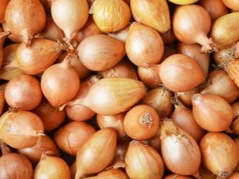 When and how to plant onions?