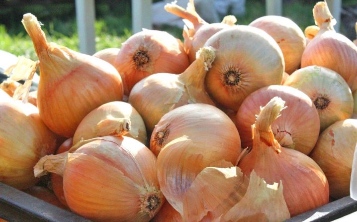 How to grow onion sets?