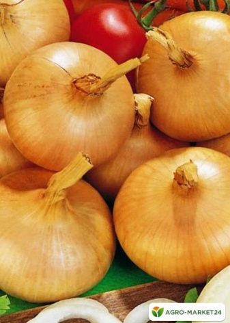 How to grow onions for greens?