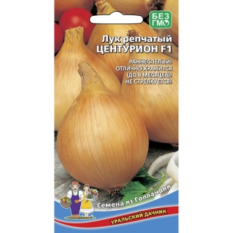 How to grow onions from seeds?
