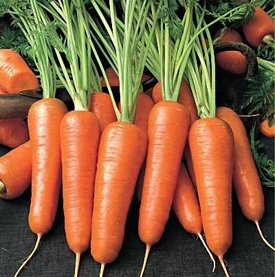 carrot Carotel