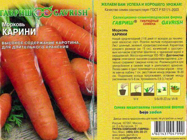 carrot Carini