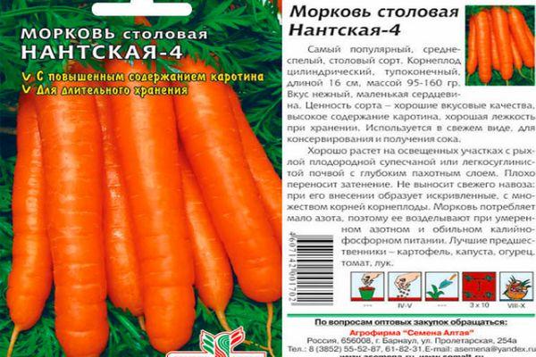 Description of carrots