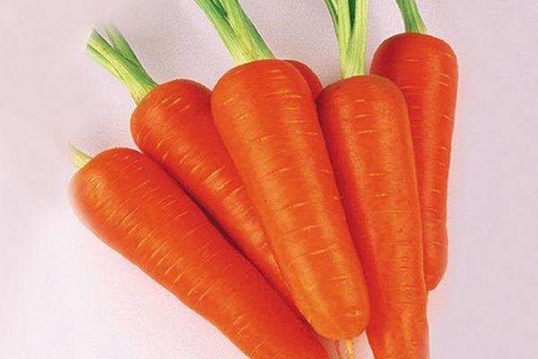 hybrid carrot