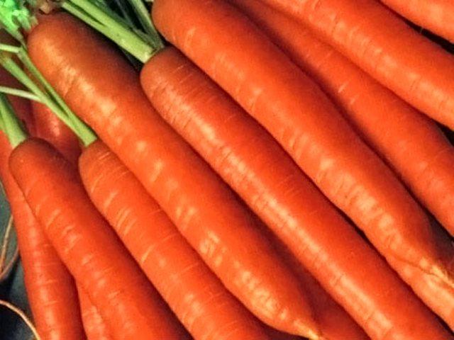 ripe carrots