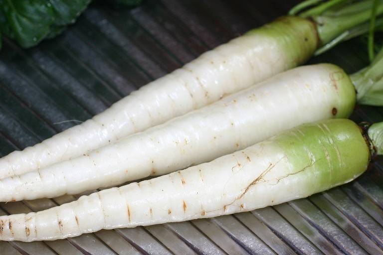 white carrot photo