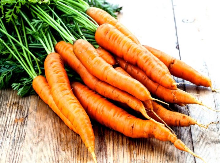 Everything you need to know about carrots