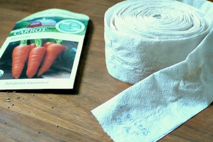 Planting carrot seeds on toilet paper
