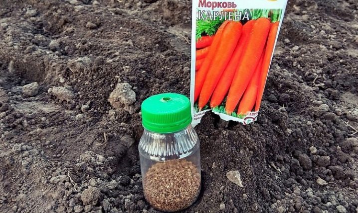 How to plant carrots so as not to thin out?