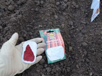How to grow carrots?