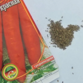 How to prepare carrot seeds for planting?