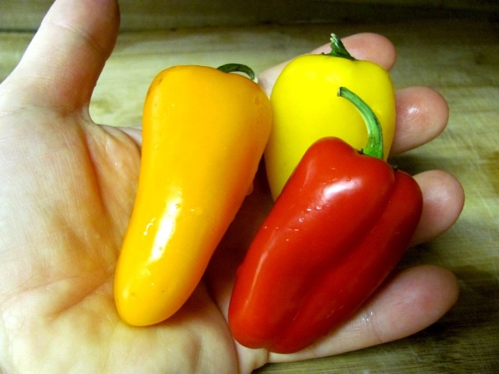How to distinguish male pepper from female and which one to choose?
