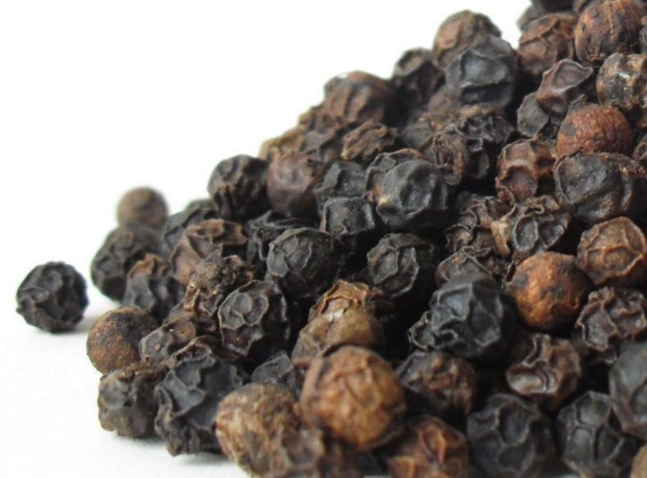 How to grow black pepper at home?