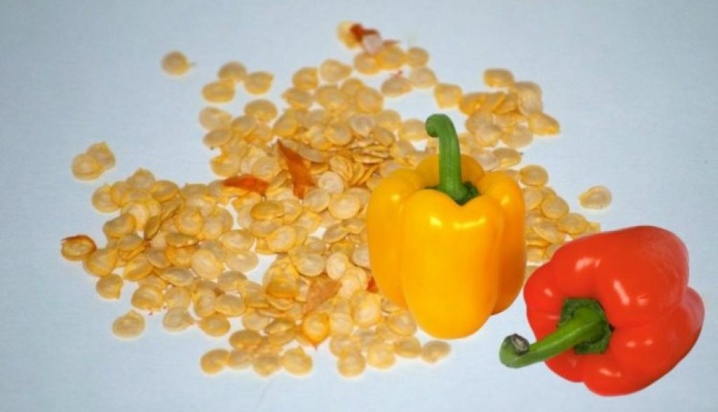 Shelf life of pepper seeds