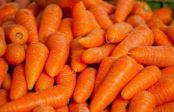 50 best varieties of carrots with descriptions and characteristics