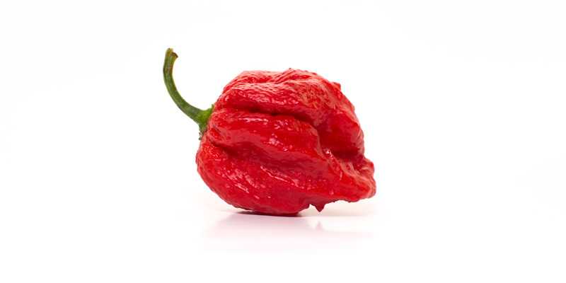 Barrackpore - the 10 hottest peppers in the world