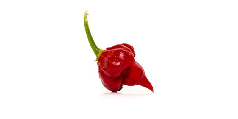 Butch T - the 10 hottest peppers in the world