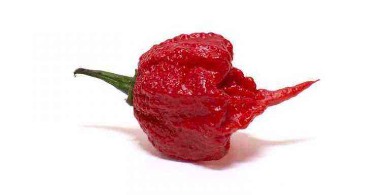 The 10 hottest peppers in the world