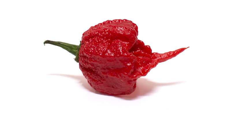 Carolina reaper - the 10 hottest peppers in the world