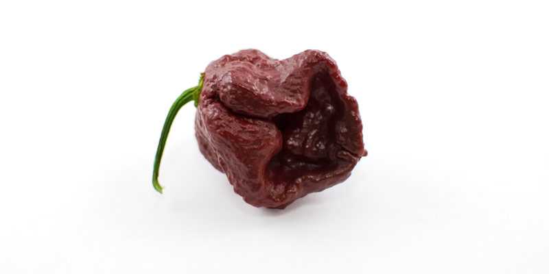 Douglas - the 10 hottest peppers in the world