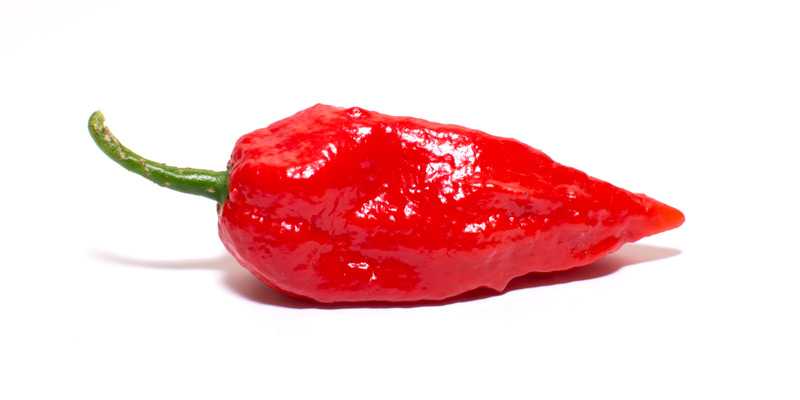 Jolokia - the 10 hottest peppers in the world