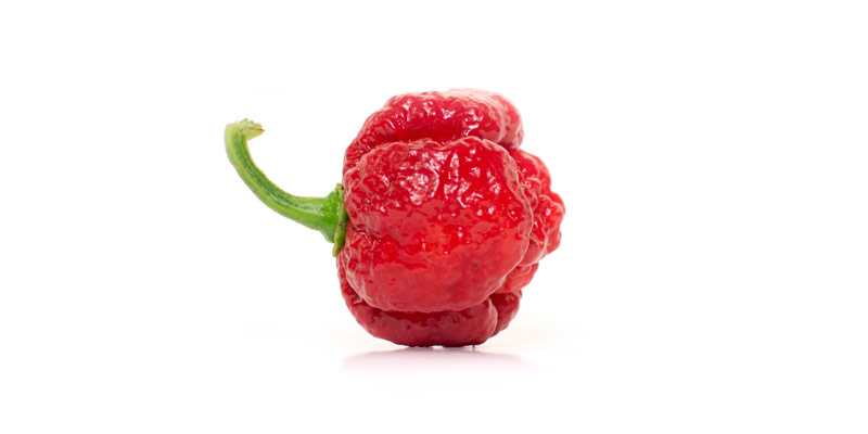 Trinidad Moruga - the 10 hottest peppers in the world