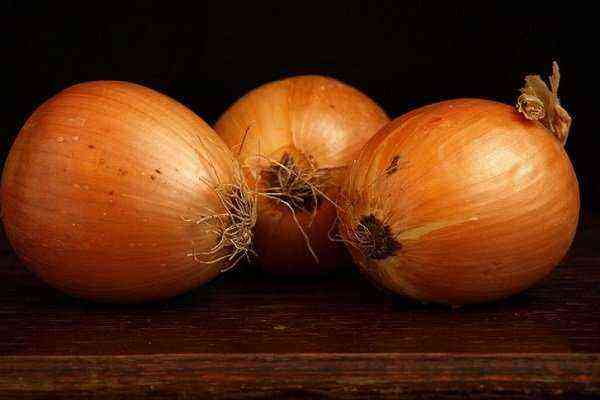 Onion Shetana-How to plant and grow?