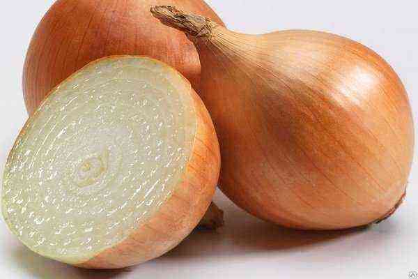 Onion Cupido - characteristics of the variety, photo, cultivation, reviews