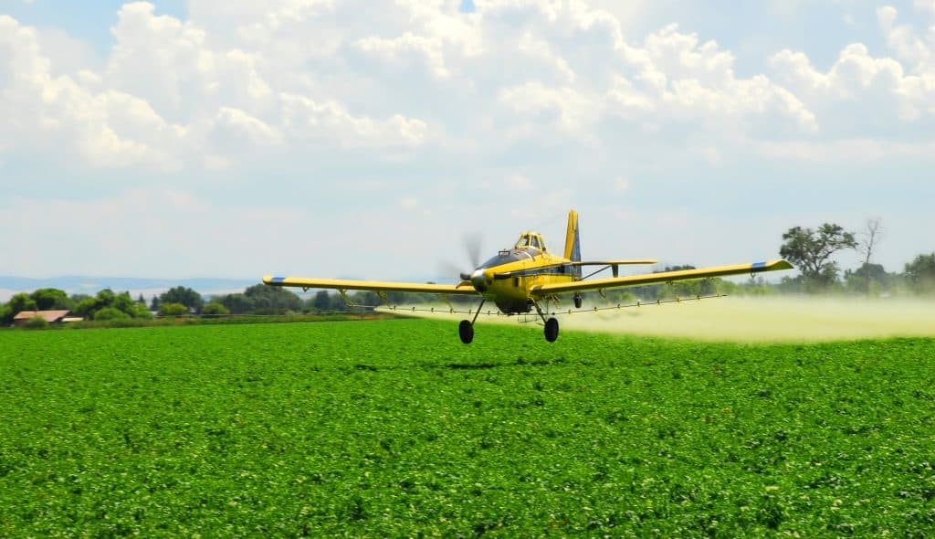 Agricultural plane flying low and spraying the crop